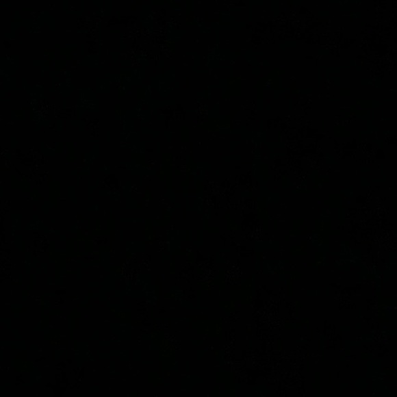 Meet your Posher, Maizlee - Picture 1 of 1